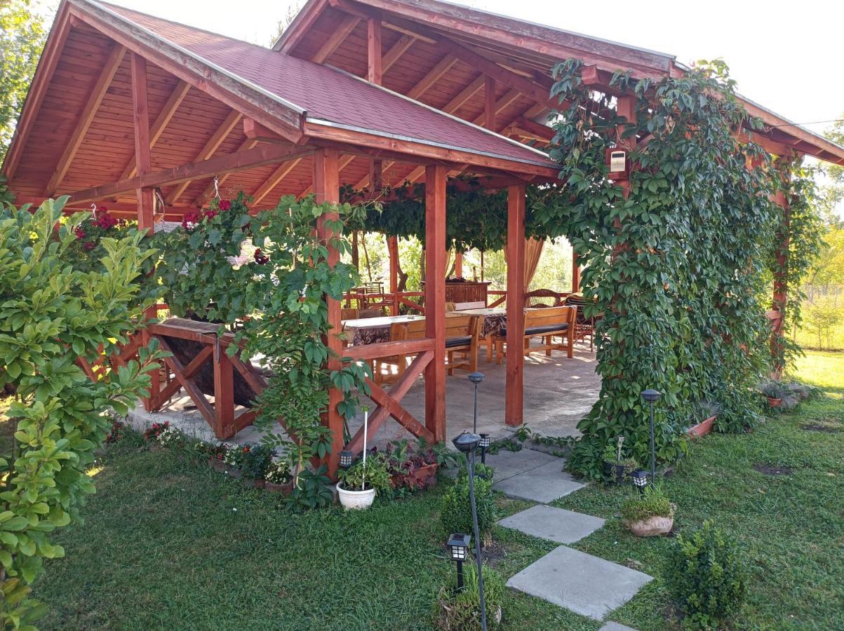 Narcisz B&B โครุนด์ ภายนอก รูปภาพ